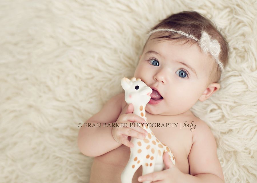 5 month baby photography