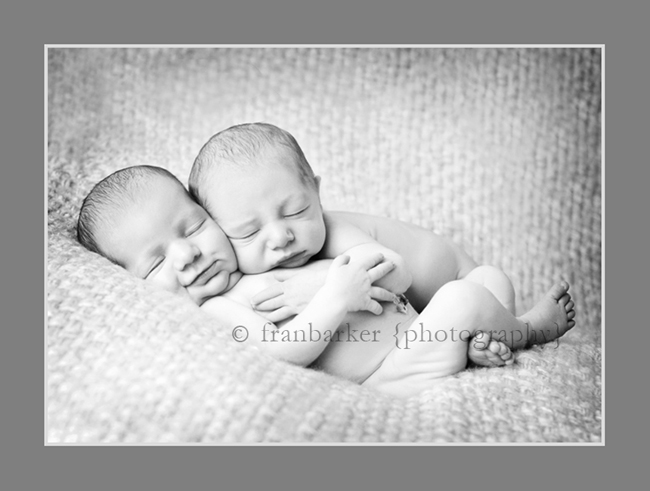 Double the Fun Columbus Ohio Newborn Twin Photographer | Columbus and ...